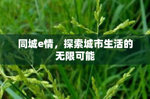 同城e情,探索城市生活的无限可能 同城e情,探索城市生活的无限可能