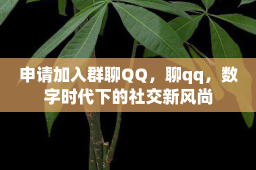 申请加入群聊QQ,聊qq,数字时代下的社交新风尚 申请加入群聊QQ,聊qq,数字时代下的社交新风尚