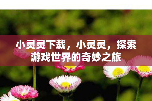 小灵灵下载，小灵灵，探索游戏世界的奇妙之旅