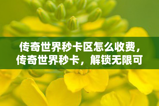 传奇世界秒卡区怎么收费,传奇世界秒卡,解锁无限可能的钥匙 传奇世界秒卡区怎么收费,传奇世界秒卡,解锁无限可能的钥匙