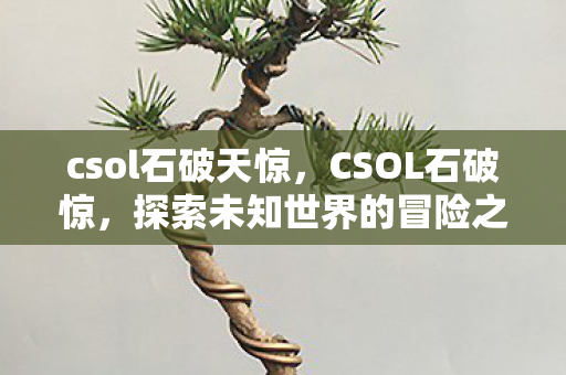 csol石破天惊,CSOL石破惊,探索未知世界的冒险之旅 csol石破天惊,CSOL石破惊,探索未知世界的冒险之旅