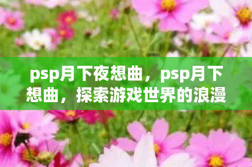 psp月下夜想曲，psp月下想曲，探索游戏世界的浪漫与幻想