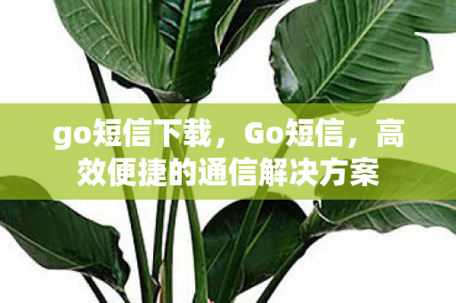 go短信下载,Go短信,高效便捷的通信解决方案 go短信下载,Go短信,高效便捷的通信解决方案