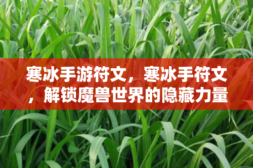 寒冰手游符文，寒冰手符文，解锁魔兽世界的隐藏力量