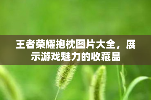 王者荣耀抱枕图片大全,展示游戏魅力的收藏品 王者荣耀抱枕图片大全,展示游戏魅力的收藏品