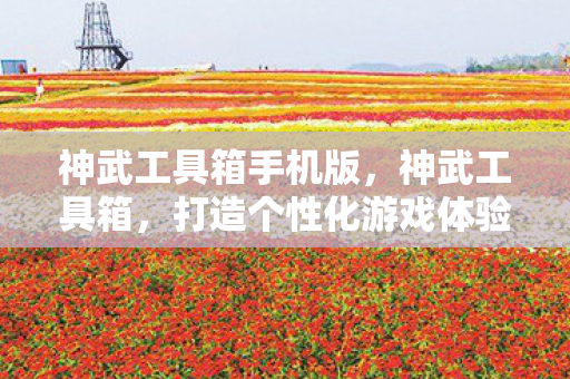 神武工具箱手机版,神武工具箱,打造个性化游戏体验的必备神器 神武工具箱手机版,神武工具箱,打造个性化游戏体验的必备神器