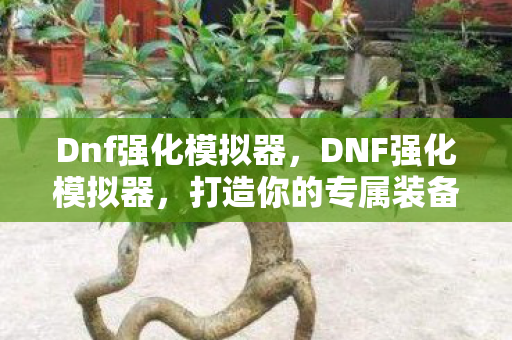 Dnf强化模拟器，DNF强化模拟器，打造你的专属装备强化之旅