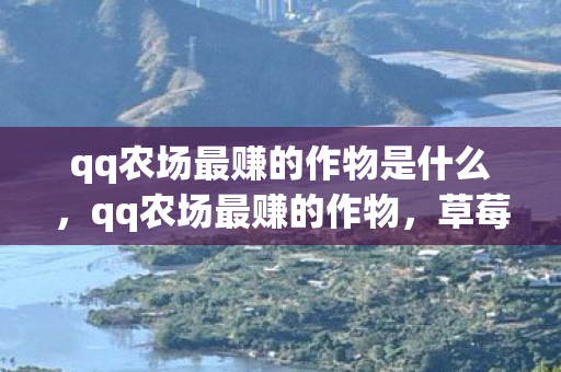 qq农场最赚的作物是什么,qq农场最赚的作物,草莓的种植与收益分析 qq农场最赚的作物是什么,qq农场最赚的作物,草莓的种植与收益分析