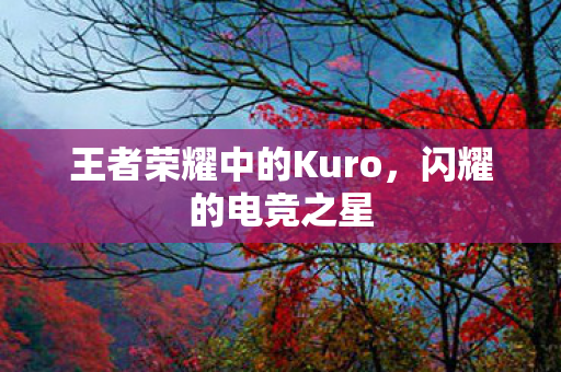 王者荣耀中的Kuro,闪耀的电竞之星 王者荣耀中的Kuro,闪耀的电竞之星