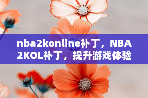 nba2konline补丁,NBA2KOL补丁,提升游戏体验的必备神器 nba2konline补丁,NBA2KOL补丁,提升游戏体验的必备神器