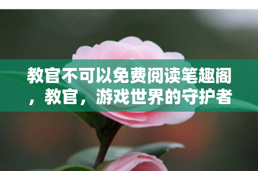 教官不可以免费阅读笔趣阁,教官,游戏世界的守护者,还是灰色产业链的推手? 教官不可以免费阅读笔趣阁,教官,游戏世界的守护者,还是灰色产业链的推手?