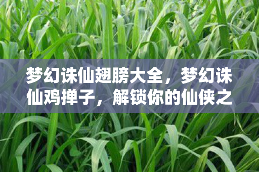 梦幻诛仙翅膀大全,梦幻诛仙鸡掸子,解锁你的仙侠之旅 梦幻诛仙翅膀大全,梦幻诛仙鸡掸子,解锁你的仙侠之旅