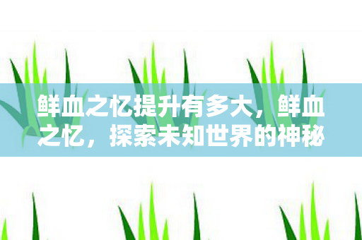 鲜血之忆提升有多大,鲜血之忆,探索未知世界的神秘之旅 鲜血之忆提升有多大,鲜血之忆,探索未知世界的神秘之旅