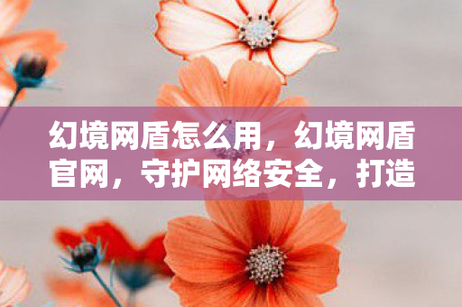 幻境网盾怎么用,幻境网盾官网,守护网络安全,打造数字时代信任基石 幻境网盾怎么用,幻境网盾官网,守护网络安全,打造数字时代信任基石