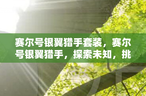 赛尔号银翼猎手套装,赛尔号银翼猎手,探索未知,挑战极限 赛尔号银翼猎手套装,赛尔号银翼猎手,探索未知,挑战极限