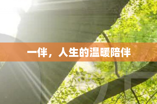一伴,人生的温暖陪伴 一伴,人生的温暖陪伴