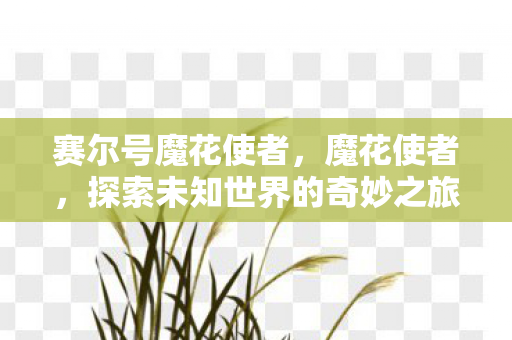 赛尔号魔花使者，魔花使者，探索未知世界的奇妙之旅