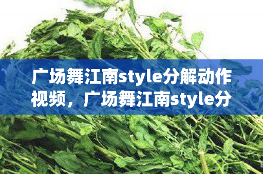广场舞江南style分解动作视频，广场舞江南style分解动作