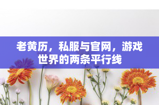 老黄历,私服与官网,游戏世界的两条平行线 老黄历,私服与官网,游戏世界的两条平行线