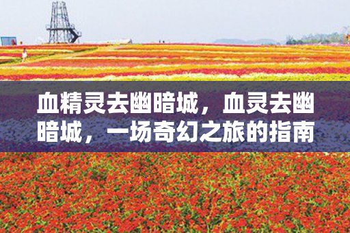 血精灵去幽暗城，血灵去幽暗城，一场奇幻之旅的指南