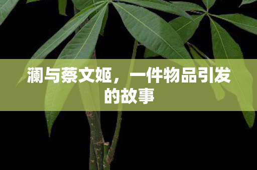 澜与蔡文姬,一件物品引发的故事 澜与蔡文姬,一件物品引发的故事