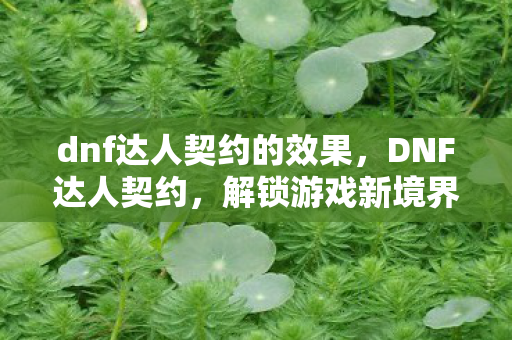 dnf达人契约的效果,DNF达人契约,解锁游戏新境界的钥匙 dnf达人契约的效果,DNF达人契约,解锁游戏新境界的钥匙