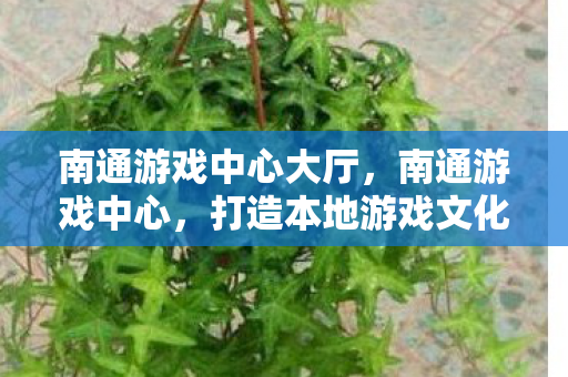 南通游戏中心大厅，南通游戏中心，打造本地游戏文化的创新平台