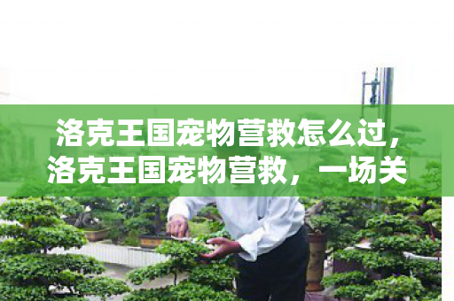 洛克王国宠物营救怎么过,洛克王国宠物营救,一场关于友情与勇气的冒险 洛克王国宠物营救怎么过,洛克王国宠物营救,一场关于友情与勇气的冒险