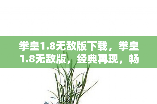 拳皇1.8无敌版下载,拳皇1.8无敌版,经典再现,畅享无限战斗乐趣 拳皇1.8无敌版下载,拳皇1.8无敌版,经典再现,畅享无限战斗乐趣