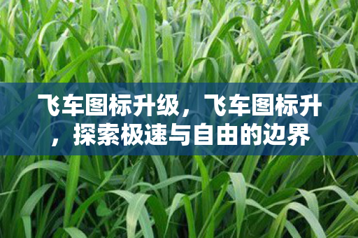 飞车图标升级,飞车图标升,探索极速与自由的边界 飞车图标升级,飞车图标升,探索极速与自由的边界
