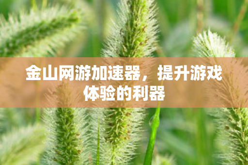 金山网游加速器,提升游戏体验的利器 金山网游加速器,提升游戏体验的利器