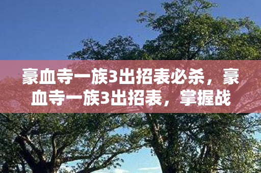 豪血寺一族3出招表必杀，豪血寺一族3出招表，掌握战斗艺术的秘籍