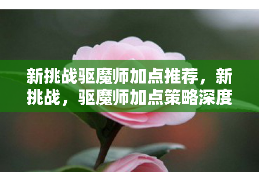 新挑战驱魔师加点推荐,新挑战,驱魔师加点策略深度解析 新挑战驱魔师加点推荐,新挑战,驱魔师加点策略深度解析