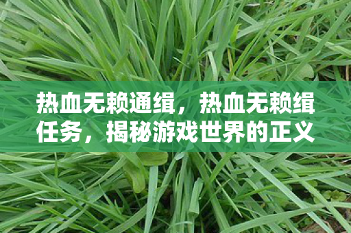 热血无赖通缉，热血无赖缉任务，揭秘游戏世界的正义行动