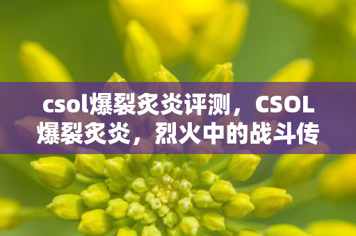 csol爆裂炙炎评测,CSOL爆裂炙炎,烈火中的战斗传奇 csol爆裂炙炎评测,CSOL爆裂炙炎,烈火中的战斗传奇