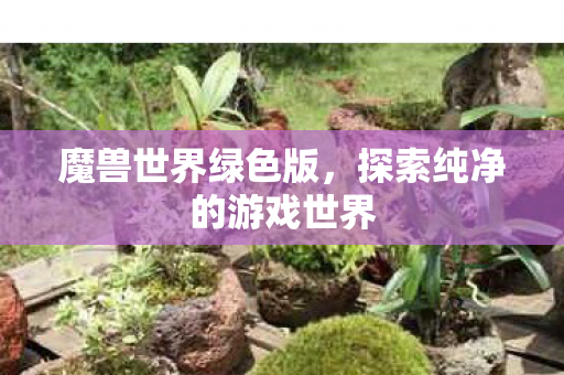 魔兽世界绿色版,探索纯净的游戏世界 魔兽世界绿色版,探索纯净的游戏世界