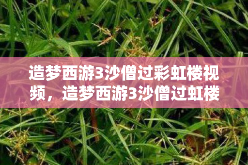 造梦西游3沙僧过彩虹楼视频,造梦西游3沙僧过虹楼,策略与技巧的深度剖析 造梦西游3沙僧过彩虹楼视频,造梦西游3沙僧过虹楼,策略与技巧的深度剖析