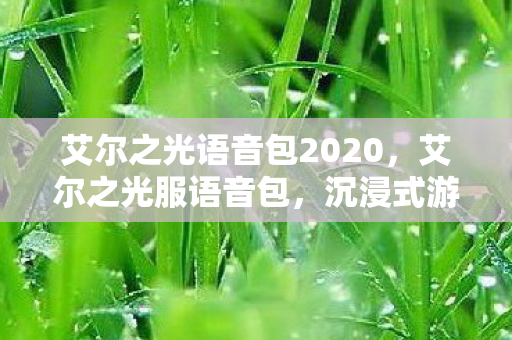 艾尔之光语音包2020,艾尔之光服语音包,沉浸式游戏体验的新篇章 艾尔之光语音包2020,艾尔之光服语音包,沉浸式游戏体验的新篇章