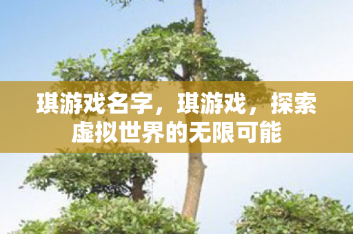 琪游戏名字，琪游戏，探索虚拟世界的无限可能