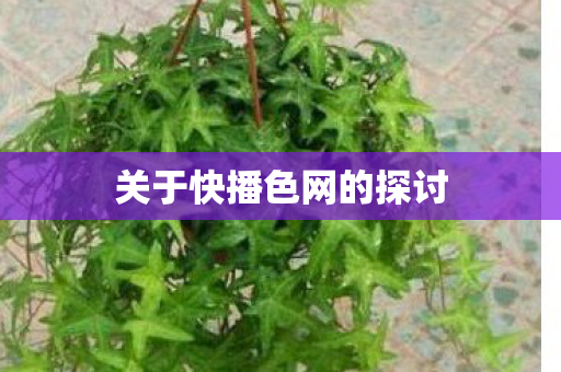 关于快播色网的探讨 关于快播色网的探讨