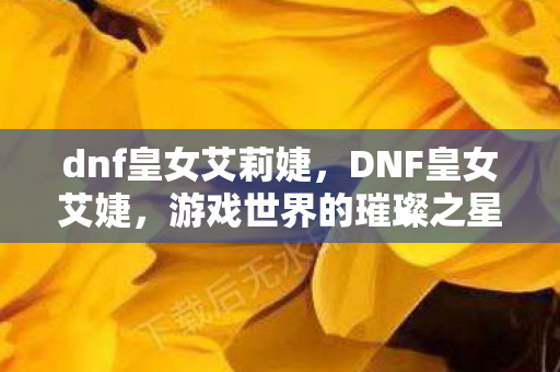 dnf皇女艾莉婕，DNF皇女艾婕，游戏世界的璀璨之星