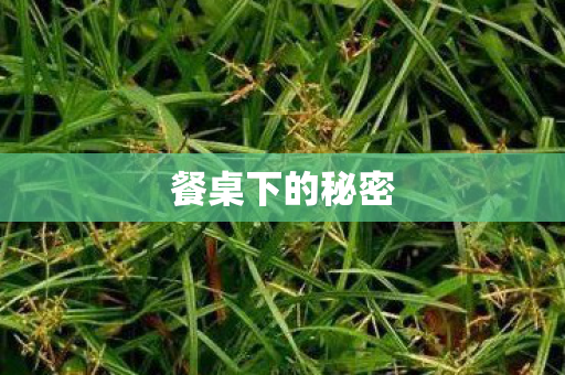餐桌下的秘密