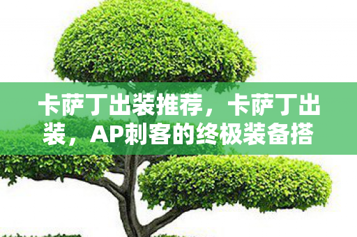 卡萨丁出装推荐,卡萨丁出装,AP刺客的终极装备搭配指南 卡萨丁出装推荐,卡萨丁出装,AP刺客的终极装备搭配指南