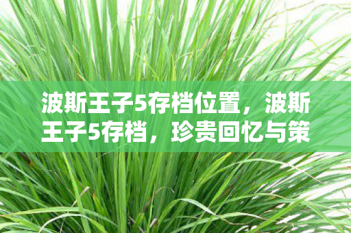 波斯王子5存档位置,波斯王子5存档,珍贵回忆与策略分享 波斯王子5存档位置,波斯王子5存档,珍贵回忆与策略分享