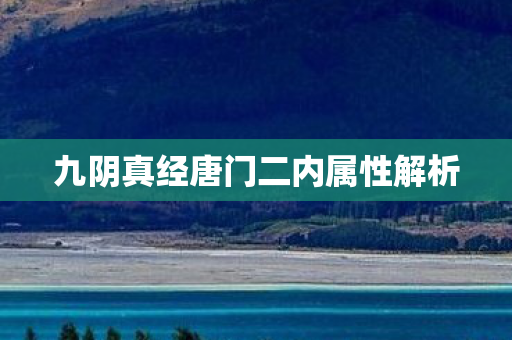 九阴真经唐门二内属性解析 九阴真经唐门二内属性解析