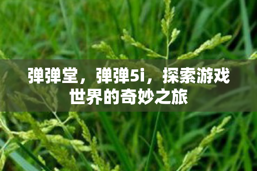 弹弹堂,弹弹5i,探索游戏世界的奇妙之旅 弹弹堂,弹弹5i,探索游戏世界的奇妙之旅