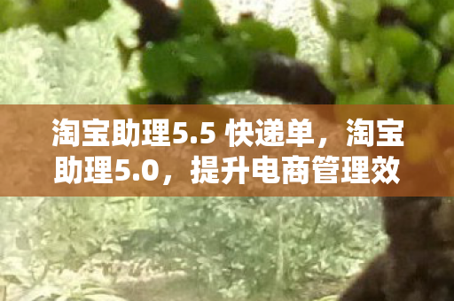 淘宝助理5.5 快递单,淘宝助理5.0,提升电商管理效率的神器 淘宝助理5.5 快递单,淘宝助理5.0,提升电商管理效率的神器