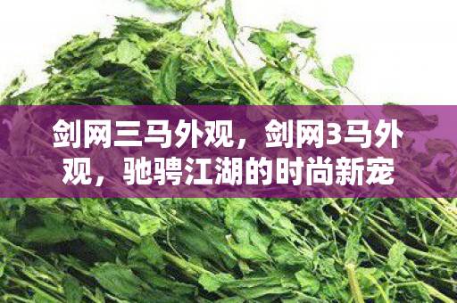 剑网三马外观，剑网3马外观，驰骋江湖的时尚新宠