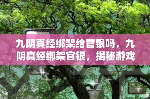 九阴真经绑架给官银吗,九阴真经绑架官银,揭秘游戏内经济系统的暗流涌动 九阴真经绑架给官银吗,九阴真经绑架官银,揭秘游戏内经济系统的暗流涌动