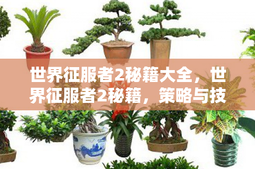世界征服者2秘籍大全,世界征服者2秘籍,策略与技巧的深度剖析 世界征服者2秘籍大全,世界征服者2秘籍,策略与技巧的深度剖析